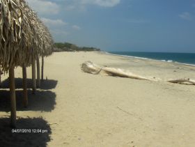 Santa Clara Beach, Panama – Best Places In The World To Retire – International Living